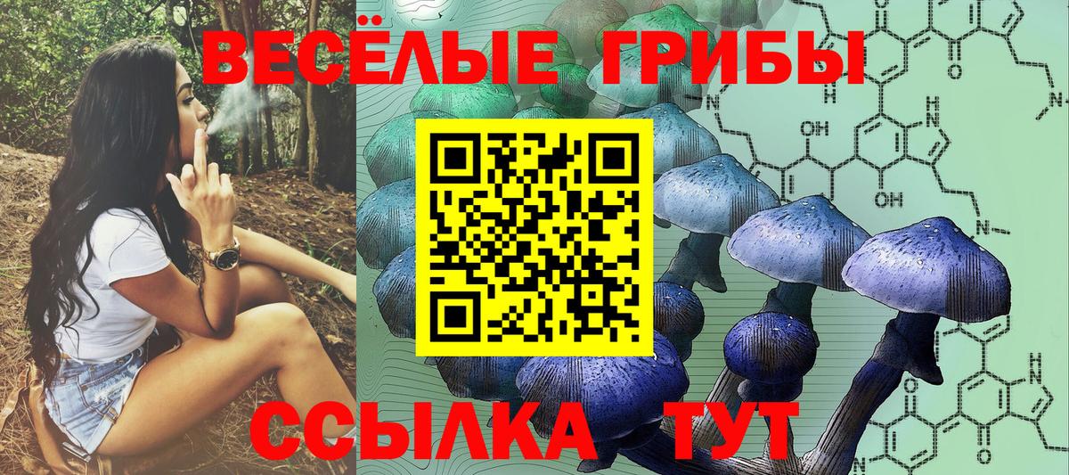 Гусиноозёрск  Галлюциногенные грибы Psilocybe  Вход с VPN 